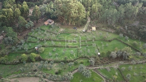 Terreno Rstico T0 - Lourial do Campo, Castelo Branco, Castelo Branco