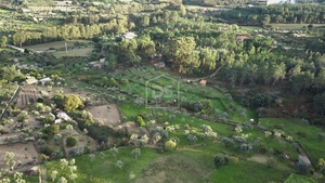 Terreno Rstico T0 - Lourial do Campo, Castelo Branco, Castelo Branco - Miniatura: 3/15