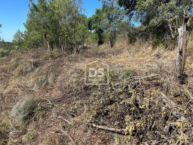 Terreno Rstico T0 - Ninho do Aor, Castelo Branco, Castelo Branco - Imagem grande