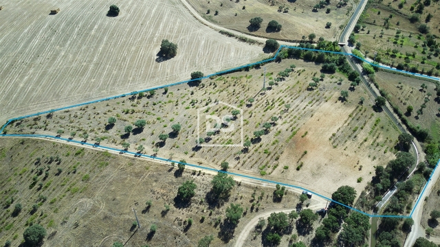 Terreno Rstico T0 - Ladoeiro, Idanha-a-Nova, Castelo Branco - Imagem grande