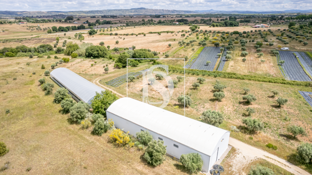 Quinta T0 - Ladoeiro, Idanha-a-Nova, Castelo Branco - Imagem grande