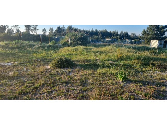 Terreno Rstico - Ferno Ferro, Seixal, Setbal - Imagem grande