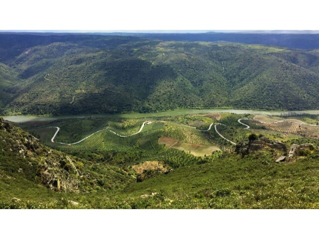 Quinta - Poiares, Freixo de Espada  Cinta, Bragana - Imagem grande