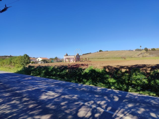 Terreno Rstico - Santa Maria, Torres Vedras, Lisboa - Imagem grande