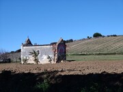 Terreno Rstico - Santa Maria, Torres Vedras, Lisboa - Miniatura: 7/9