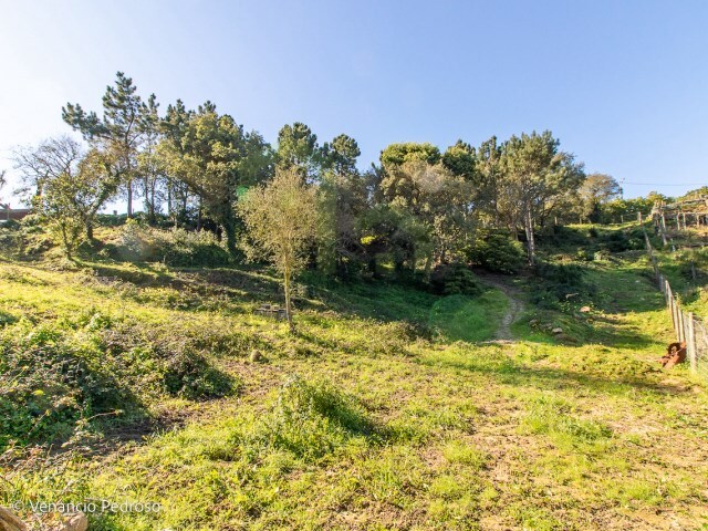 Terreno Rstico - Ericeira, Mafra, Lisboa - Imagem grande