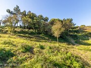 Terreno Rstico - Ericeira, Mafra, Lisboa - Miniatura: 7/9