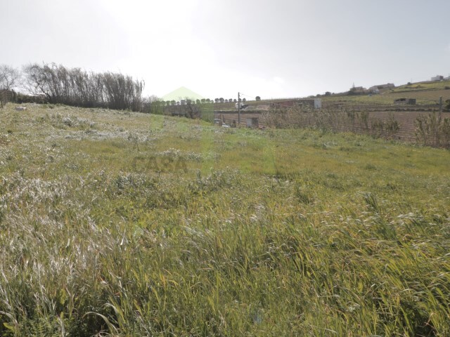 Terreno Rstico - Ventosa, Torres Vedras, Lisboa - Imagem grande