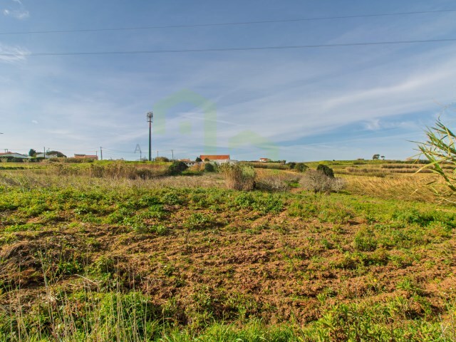 Terreno Rstico - Encarnao, Mafra, Lisboa - Imagem grande