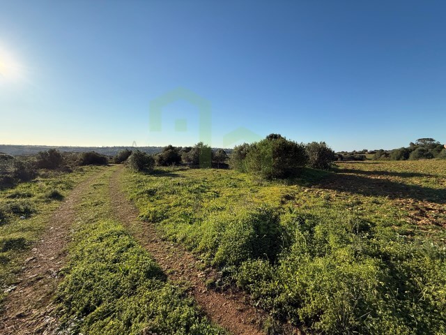 Terreno Rstico - Mafra, Mafra, Lisboa - Imagem grande