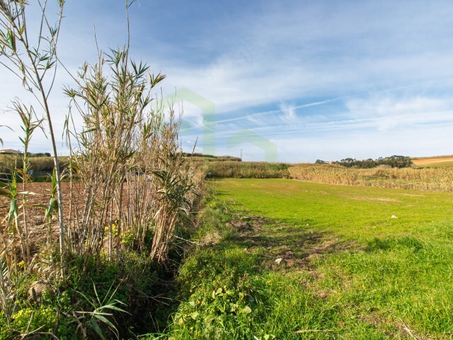 Terreno Rstico - Encarnao, Mafra, Lisboa - Imagem grande