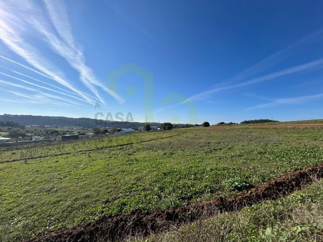 Terreno Rstico - Ericeira, Mafra, Lisboa - Imagem grande