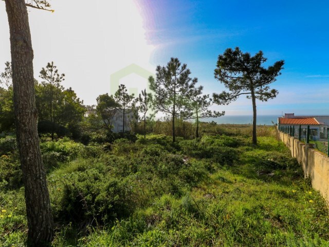 Terreno Rstico - So Joo das Lampas, Sintra, Lisboa - Imagem grande