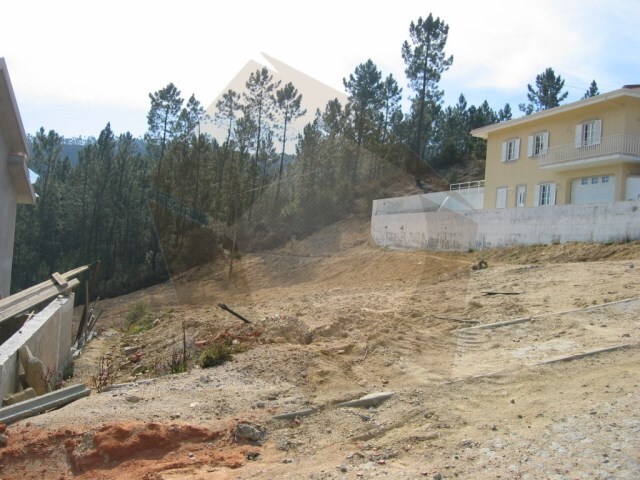 Terreno Rstico - Raiva, Castelo de Paiva, Aveiro - Imagem grande