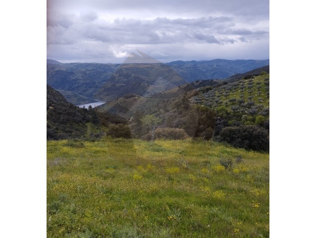 Terreno Rstico - Castro Vicente, Mogadouro, Bragana - Imagem grande