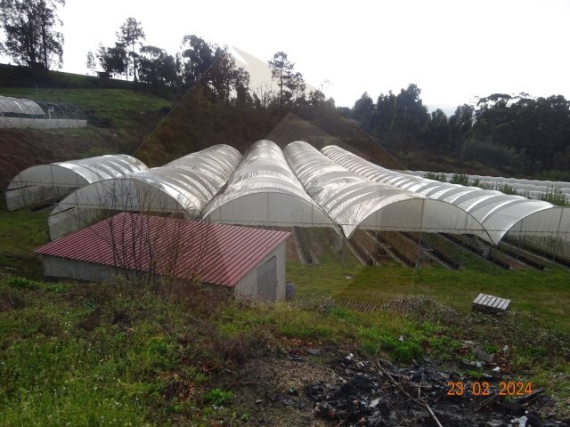 Quinta - Tabuado, Marco de Canaveses, Porto - Imagem grande