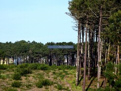 Terreno Urbano - Cortegaa, Ovar, Aveiro - Miniatura: 2/4