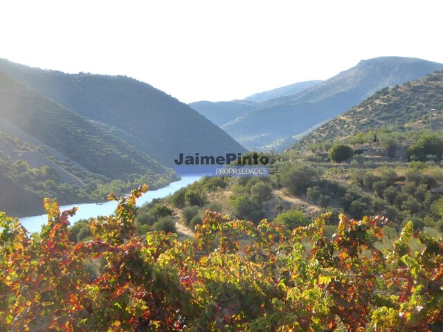 Terreno Rstico - Barca DAlva, Figueira de Castelo Rodrigo, Guarda - Imagem grande