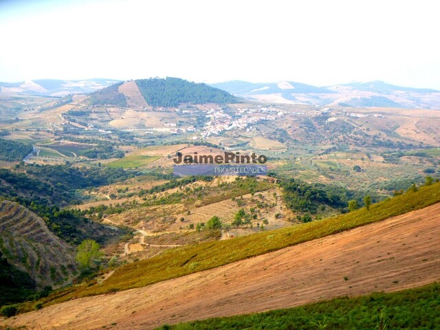 Terreno Rstico - Ligares, Freixo de Espada  Cinta, Bragana - Imagem grande