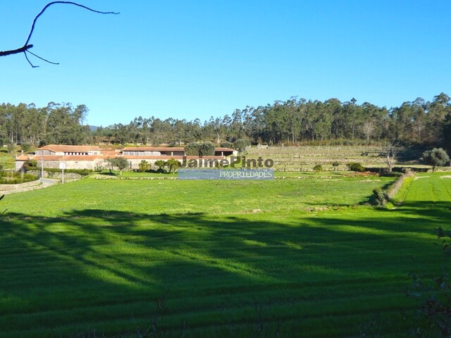 Quinta - Barcelos, Barcelos, Braga - Imagem grande