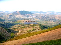 Terreno Rstico - Ligares, Freixo de Espada  Cinta, Bragana - Miniatura: 1/7