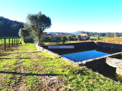 Quinta - Barcelos, Barcelos, Braga - Miniatura: 2/9