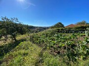 Ruina - Padornelo, Paredes de Coura, Viana do Castelo - Miniatura: 6/9