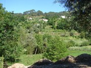 Terreno Rstico - Gandra, Ponte de Lima, Viana do Castelo - Miniatura: 1/3