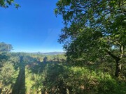 Terreno Rstico - Vasces, Paredes de Coura, Viana do Castelo - Miniatura: 4/7