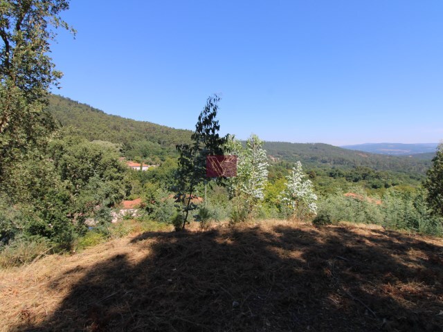 Terreno Rstico - Covas, Vila Nova de Cerveira, Viana do Castelo - Imagem grande