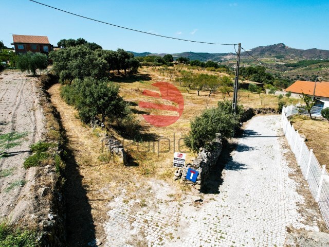 Terreno Rstico - Numo, Vila Nova de Foz Ca, Guarda - Imagem grande