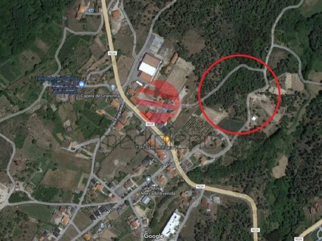 Terreno Rstico - Sever, Moimenta da Beira, Viseu - Imagem grande