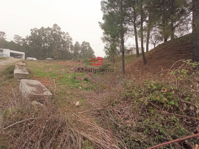 Terreno Rstico - Campo, Viseu, Viseu - Imagem grande