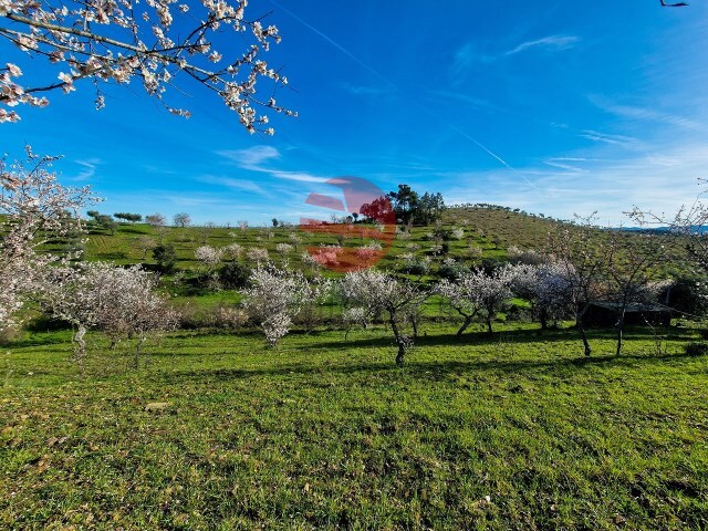 Terreno Rstico - Meda, Meda, Guarda - Imagem grande