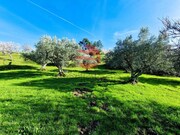 Terreno Rstico - Meda, Meda, Guarda - Miniatura: 4/9