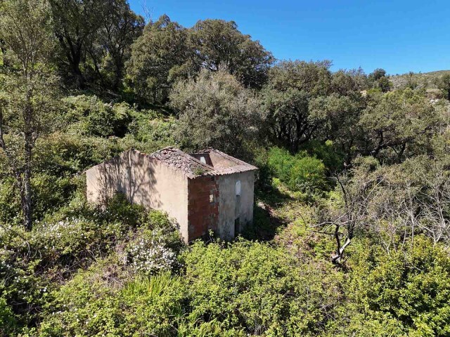 Quinta T0 - Alferce, Monchique, Faro (Algarve) - Imagem grande