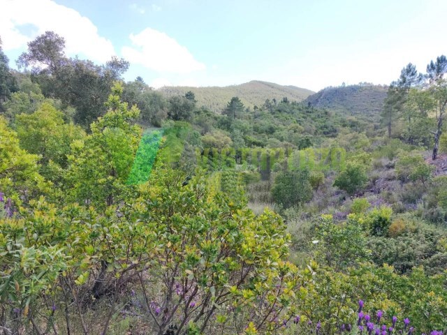 Terreno Rstico - Sabia, Odemira, Beja - Imagem grande