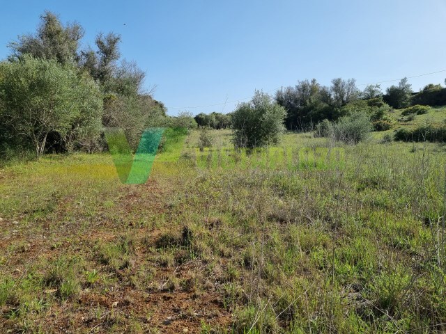 Terreno Rstico - Alcantarilha, Silves, Faro (Algarve) - Imagem grande