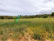 Terreno Rstico - Guia-ALB, Albufeira, Faro (Algarve) - Miniatura: 6/9