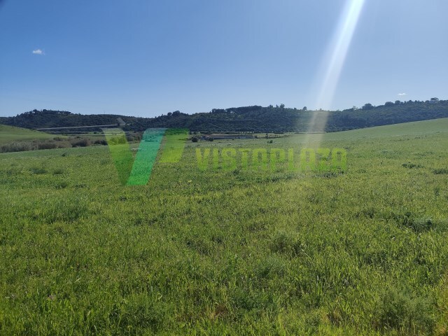 Terreno Rstico - Bensafrim, Lagos, Faro (Algarve) - Imagem grande