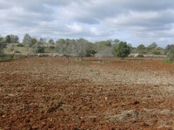 Terreno Rstico - Guia-ALB, Albufeira, Faro (Algarve)