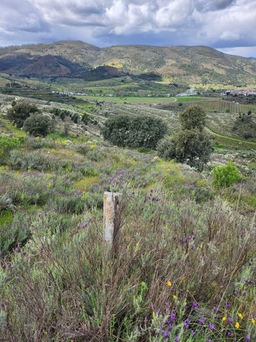 Terreno Rstico T0 - Frechas, Mirandela, Bragana - Imagem grande