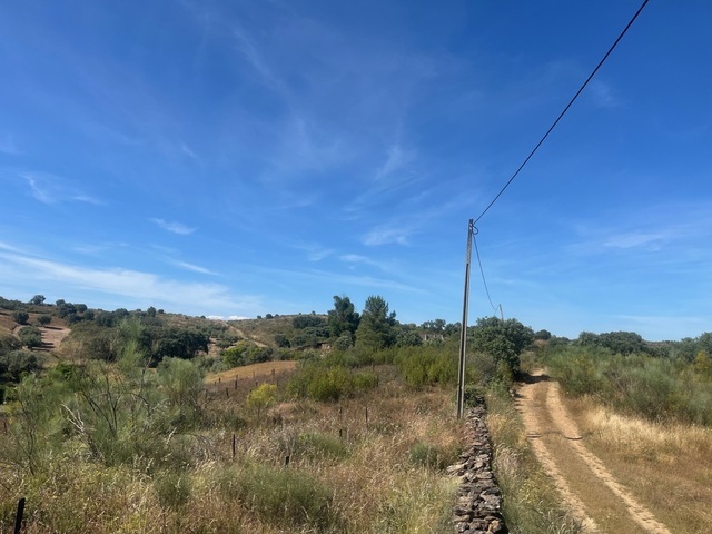 Terreno Rstico T0 - Mirandela, Mirandela, Bragana - Imagem grande