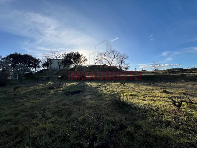 Terreno Rstico - Cerdeira, Sabugal, Guarda - Imagem grande