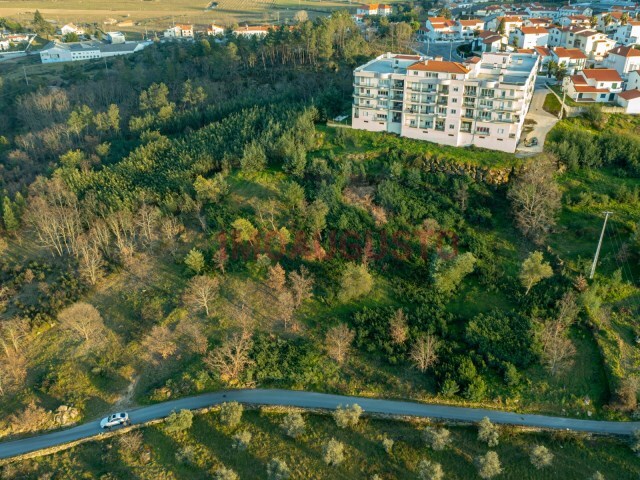 Terreno Rstico - Belmonte e Colmeal da Torre, Belmonte, Castelo Branco - Imagem grande