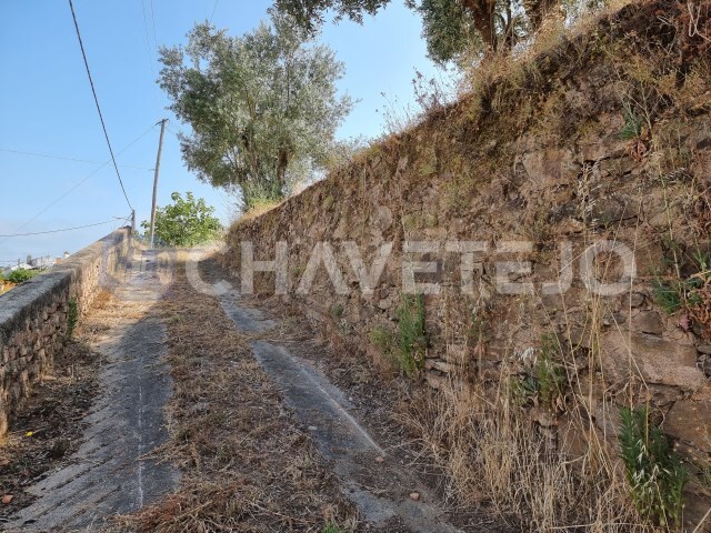 Terreno Rstico - Serra, Tomar, Santarm - Imagem grande