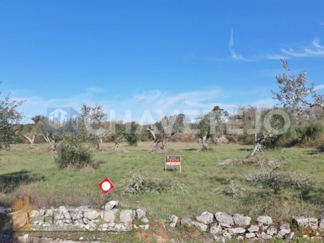 Terreno Rstico - Chos, Ferreira do Zzere, Santarm - Imagem grande