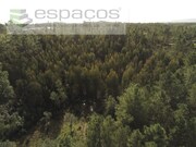 Terreno Rstico - Sarnadas de Rodo, Vila Velha de Rdo, Castelo Branco - Miniatura: 3/9