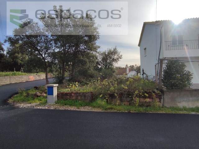 Terreno Rstico - Sarzedas, Castelo Branco, Castelo Branco - Imagem grande