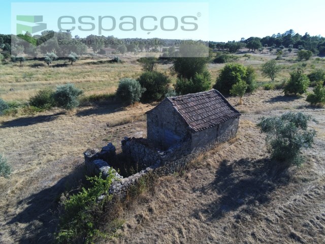 Quinta T1 - Tinalhas, Castelo Branco, Castelo Branco - Imagem grande